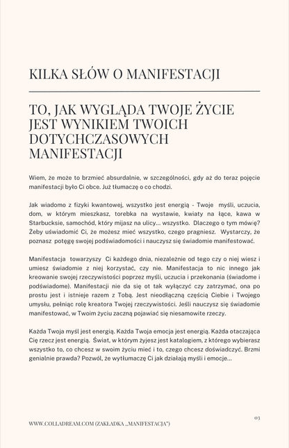 Dziennik Manifestacji